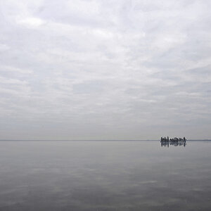 Steinhuder Meer im November.jpg