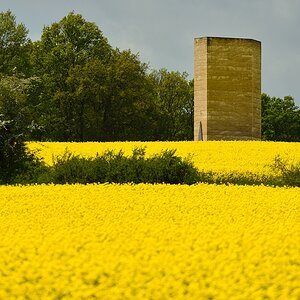 DSC8668_klein.jpg