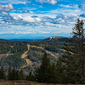Feldberg