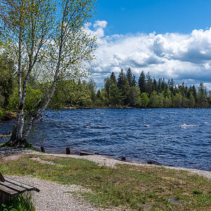 _D751087.jpg