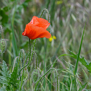 OF5_11576.jpg
