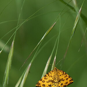 TSF 2021-122.jpg