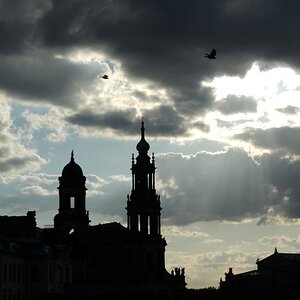 DSCN2306 (2)n.JPG