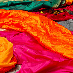 Saris.jpg
