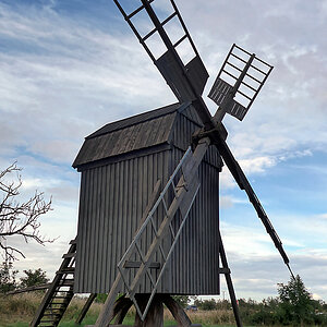 DSC_7721a.jpg