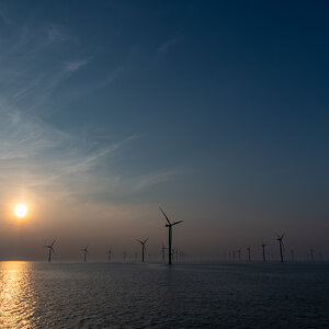 AL557-36.jpg