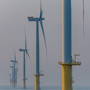 AL557-41.jpg