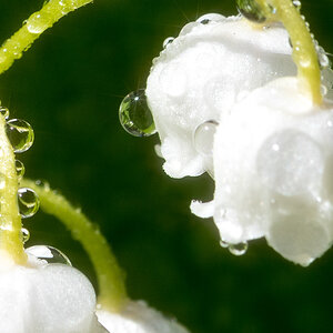 20210530-001.jpg