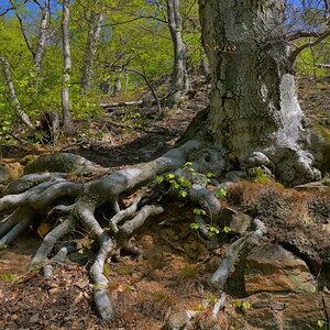 DSC_6776_00001_03n.jpg
