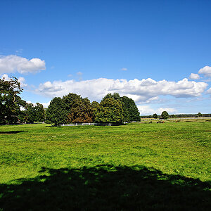 DSC_7824.jpg