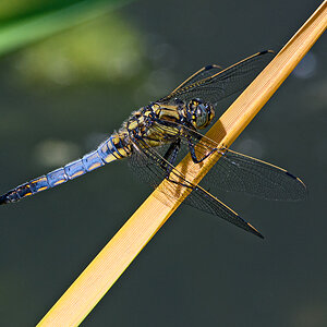 OF5_12393.jpg