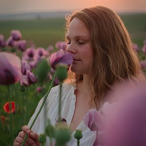 Back to the Mohn