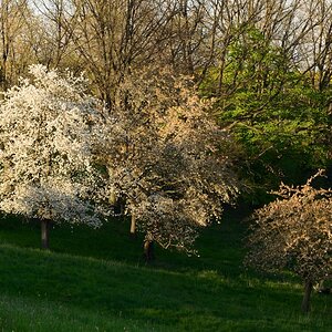 DSC_5903_00001n.jpg