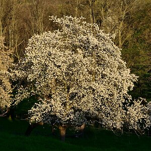 DSC_5914_00001n.jpg