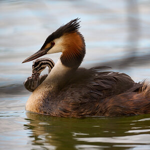 Z7II_400_2.8-DSC_0282.jpg