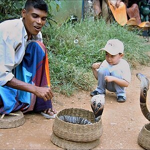 comp_srilanka1 083.jpg