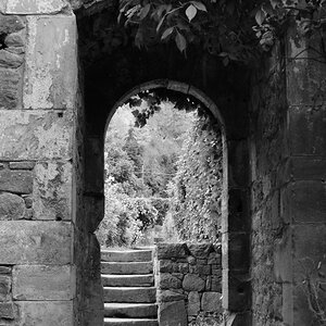 DSC_2069_00001_02n.jpg