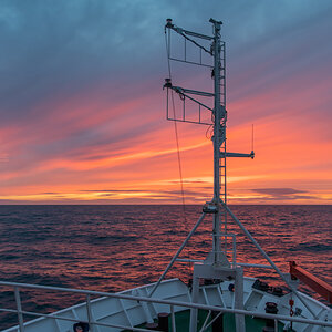 AL557-113.jpg