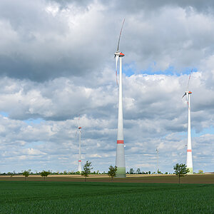 OF2_49300.jpg