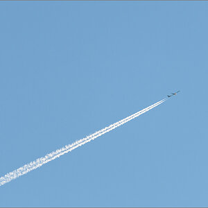 D50_8258.jpg