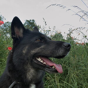 P1000048.jpg