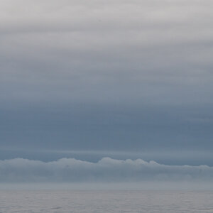 AL557 -146.jpg