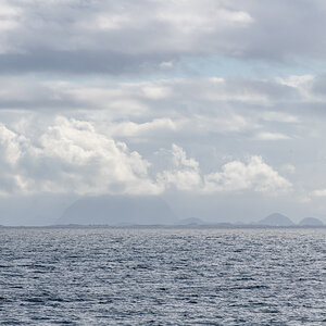 AL557-157.jpg