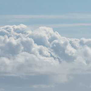 AL557-163.jpg