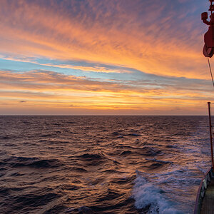 AL557-165.jpg