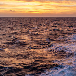 AL557-166.jpg