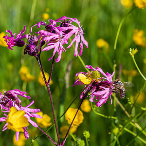F75_2990.jpg