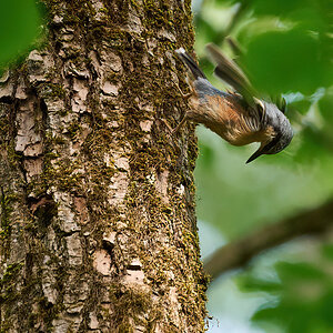 A9MK2 - -Jun 19 2021-3104-clear.jpg