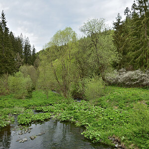 DSC_6489.JPG