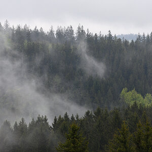 DSC_6514.JPG