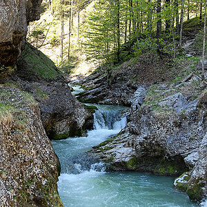 DSC_2085.jpg