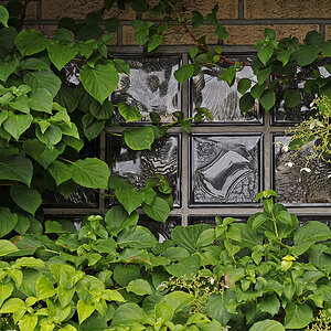 _7000382Axl.jpg