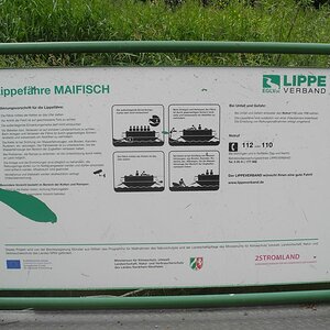maifisch8792.jpg