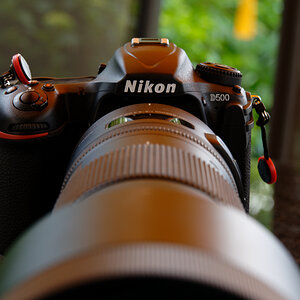 NZ6_6581_DxO.jpg