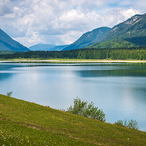 _DSC4203.jpg