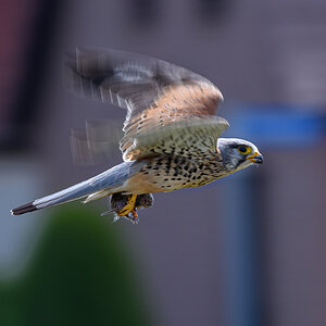 OF5_12948.jpg