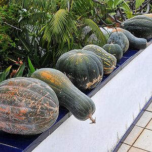 DSC_5941a.jpg