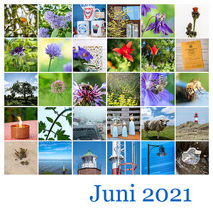 Mosaik Juni 2021