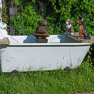 OF2_50079.jpg