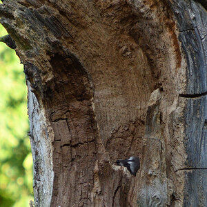 DSC_6951.JPG