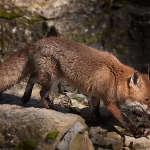 _DSC3992-Bearbeitet-1.jpg