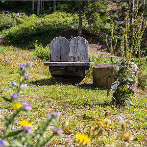 P9040415.jpg