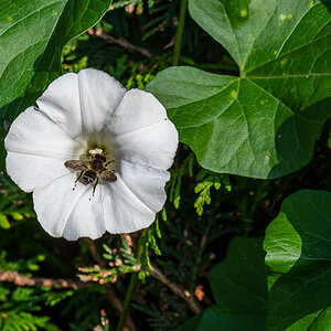 F75_4095.jpg