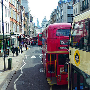 DSC_6653a.jpg