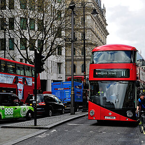 DSC_6679.jpg