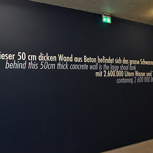 OF-13615.jpg